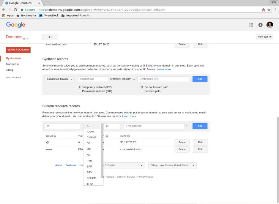 Screenshot of Google Domains dashboard showing available record types.