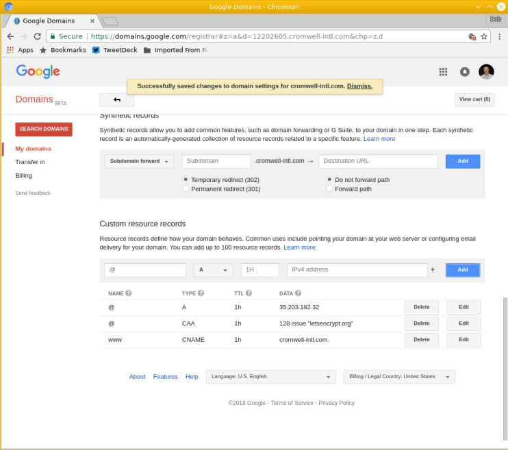 Screenshot of Google Domains dashboard with CAA records available.