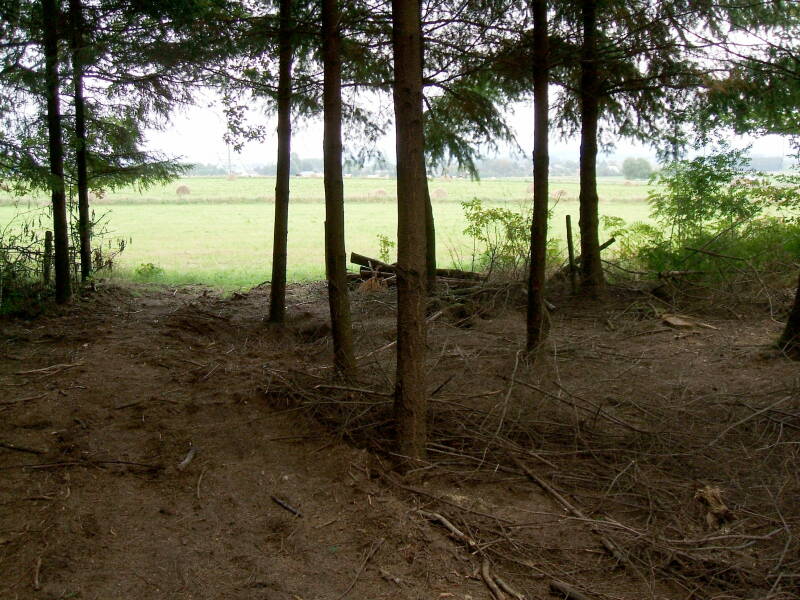 Foxholes at the edge of Bois Jacques, site of the Battle of the Bulge in the Ardennes Forest.