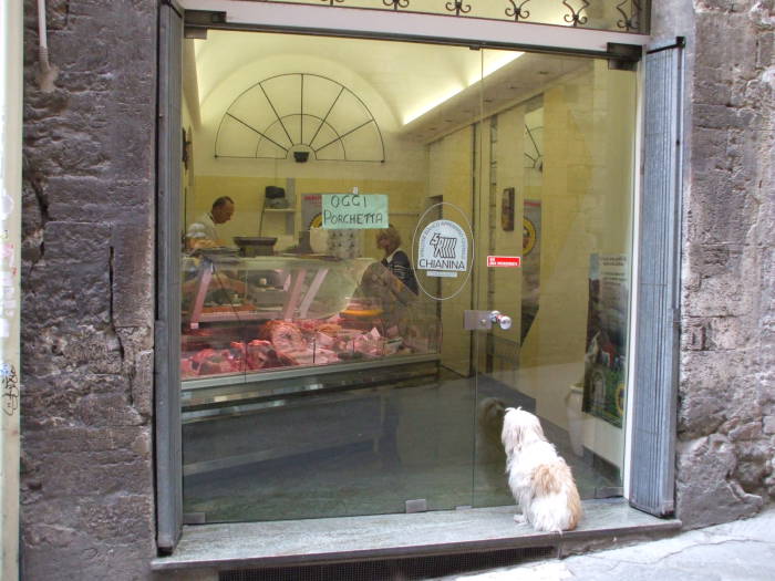 A hungry dog looks into the butcher shop in Perugia.