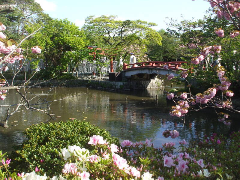 Small shrine and pond at Tsurugaoka Hachiman-Gū in Kamakura.