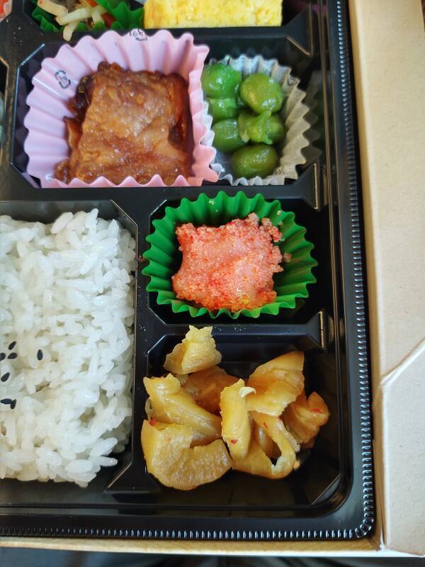Bentō lunch on board the Shinkansen to Kyōto.
