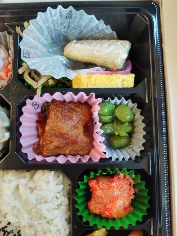 Bentō lunch on board the Shinkansen to Kyōto.