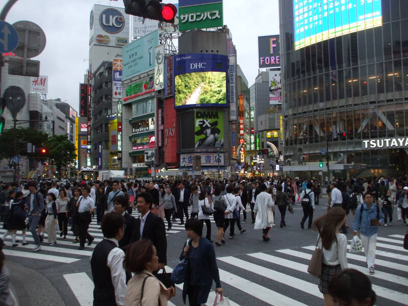 Stop traffic signals and walk signal at the Shibuya crossing in Tōkyō.