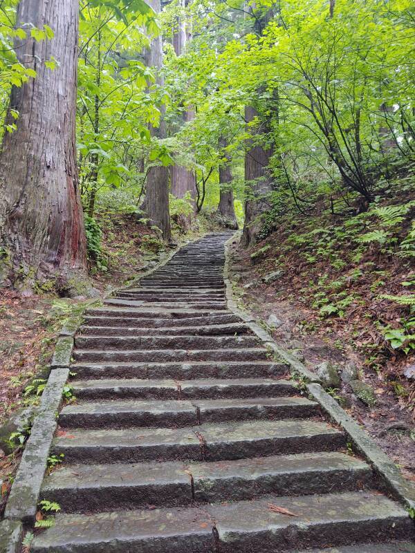 The last steep section of the 2,446-step pilgrimage path leading up Mount Haguro.