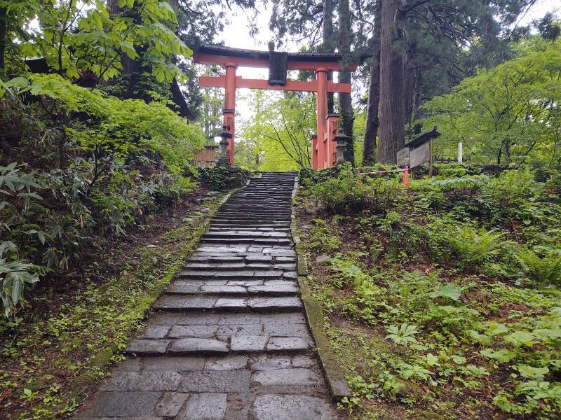 Torii at the top of the path, leading you into the Dewasanzan shrine complex.