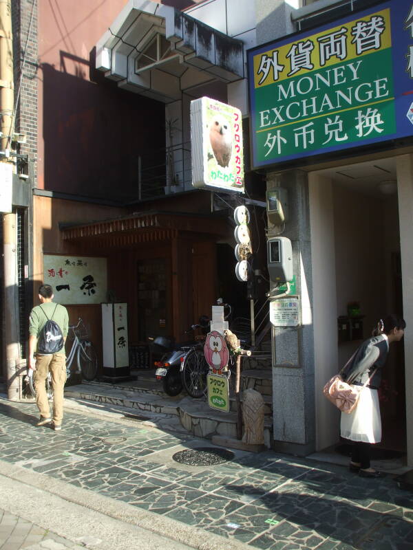 Owl cafe along the street in Nara.