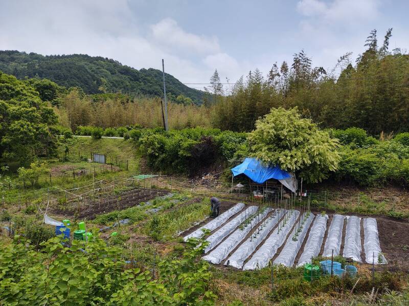 Garden near the Tsukiyama kofun.