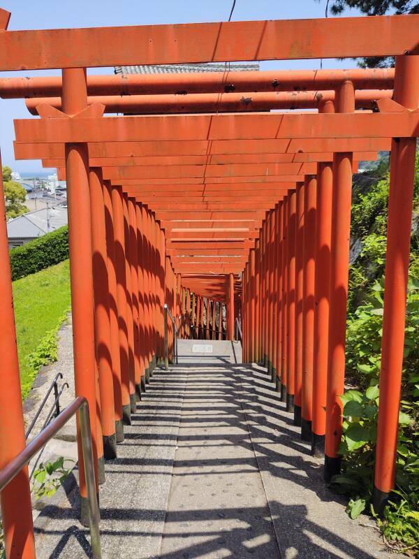 Torii leading to Utono Inari shrine.