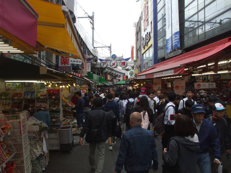 Ameya-Yokochō market under the Yamanote Line tracks.