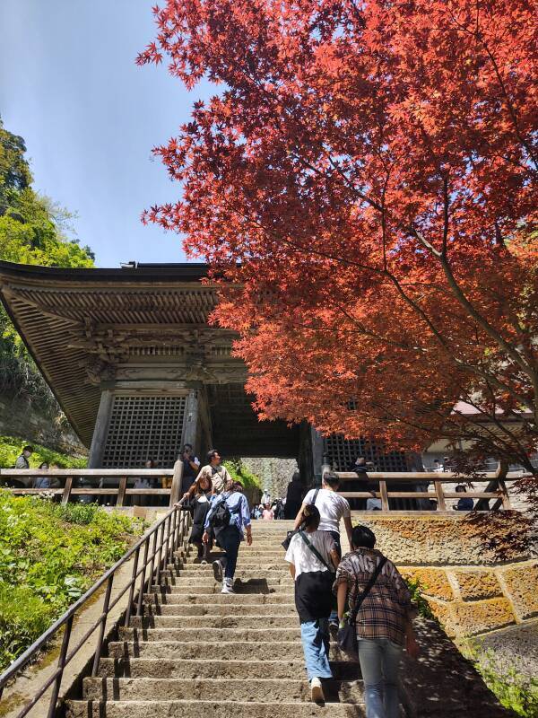 Approaching the Niōmon gate while climbing the thousand stone steps at Yamadera.