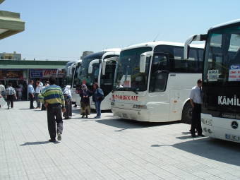 Buses lined up at a Turkish bus station.