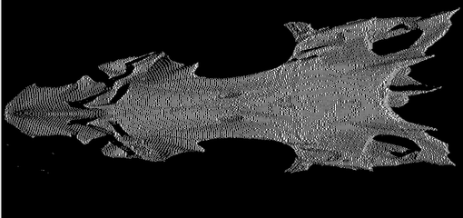 CLSI of fish skull