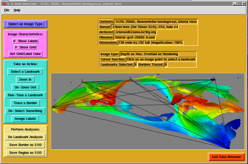 full-sized data browser image