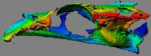 Rendered range map of Neomerinthe Hemingwayi skull.