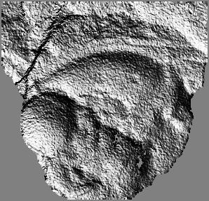 Rendered range map of trilobite fossil.