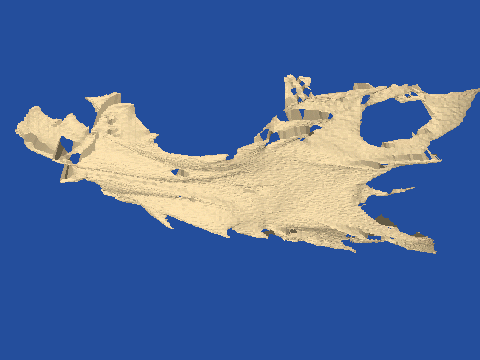 raytraced fish skull, neomerinthe hemingwayi