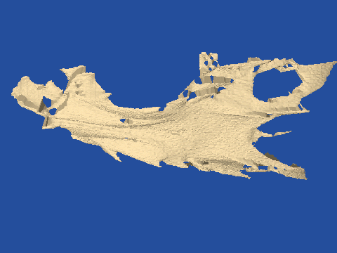 raytraced fish skull, neomerinthe hemingwayi