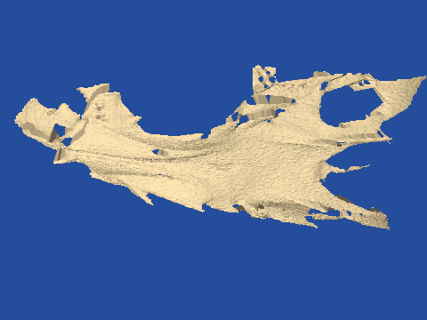 raytraced fish skull, neomerinthe hemingwayi