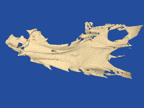 raytraced fish skull, neomerinthe hemingwayi