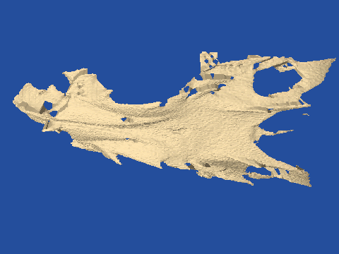 raytraced fish skull, neomerinthe hemingwayi