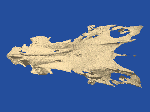 raytraced fish skull, neomerinthe hemingwayi