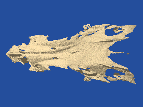 raytraced fish skull, neomerinthe hemingwayi