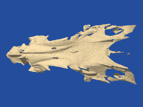 raytraced fish skull, neomerinthe hemingwayi