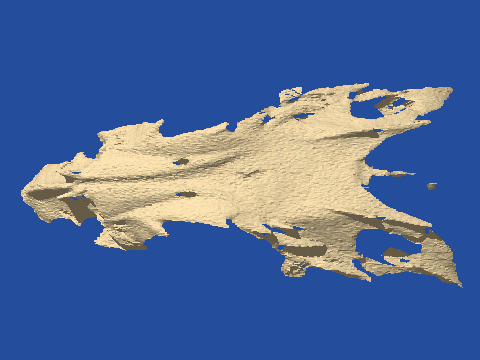 raytraced fish skull, neomerinthe hemingwayi