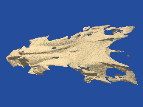 raytraced fish skull, neomerinthe hemingwayi