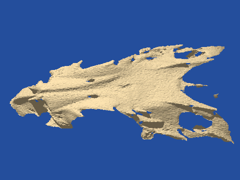 raytraced fish skull, neomerinthe hemingwayi