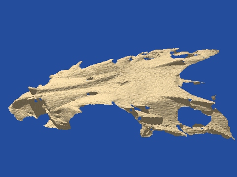 raytraced fish skull, neomerinthe hemingwayi