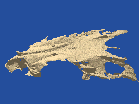 raytraced fish skull, neomerinthe hemingwayi