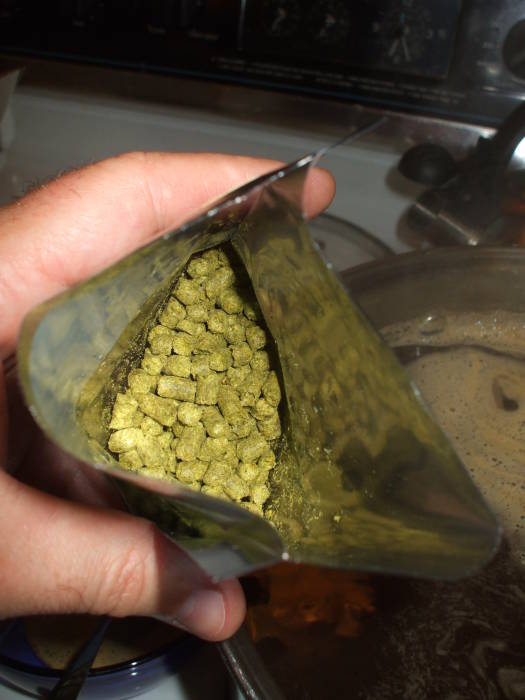 Beer brewing: adding the hops.
