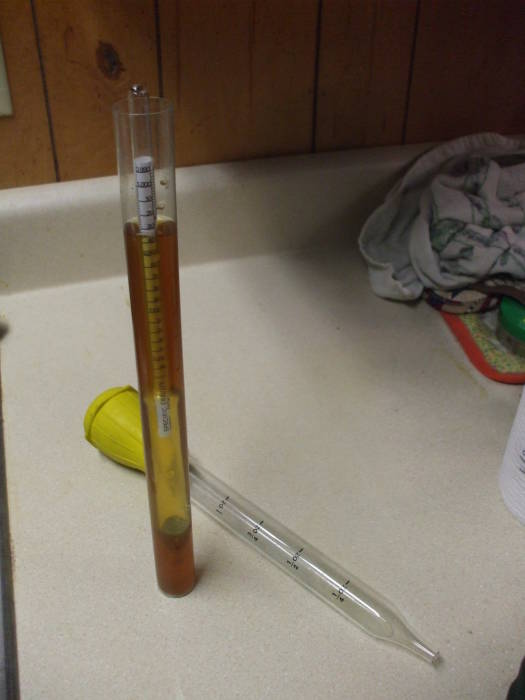 Beer brewing: hydrometer measurement of specific gravity.