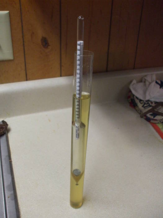 Brewing mead: Measuring the specific gravity of home-brewed mead.