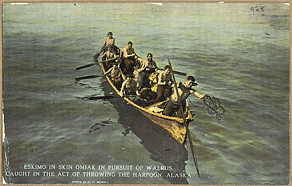 Eskimo in skin omiak in pursuit of walrus, caught in the act of throwing the harpoon, Alaska, from media.nara.gov.