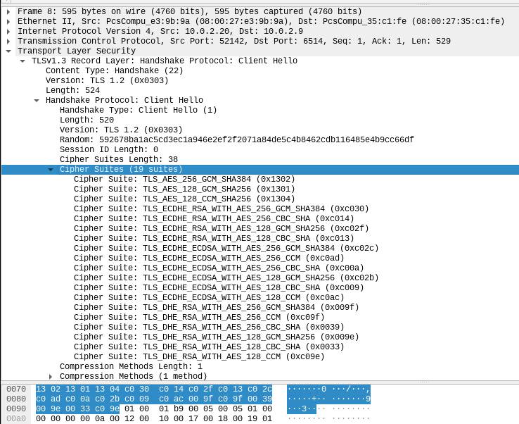Wireshark display of the above explanation.