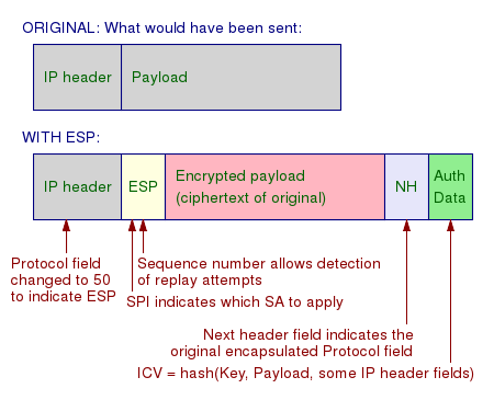 IPsec datagram with added ESP header.