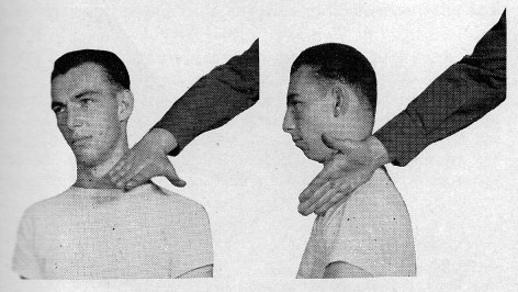 Mixed martial arts strike to the neck with the edge of the hand.