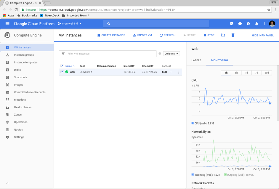 Google Compute Engine VM image view: The server is up and running!