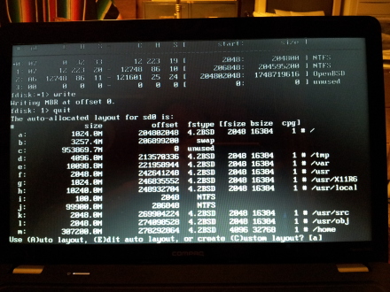 OpenBSD has auto-allocated a layout for the sd0 disk.