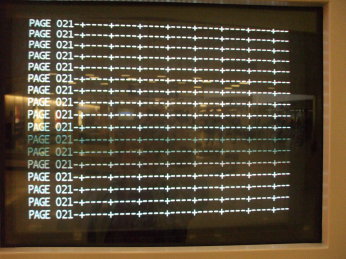 Epic fail: Detail of crash dump screen at baggage claim, Washington National airport terminal.