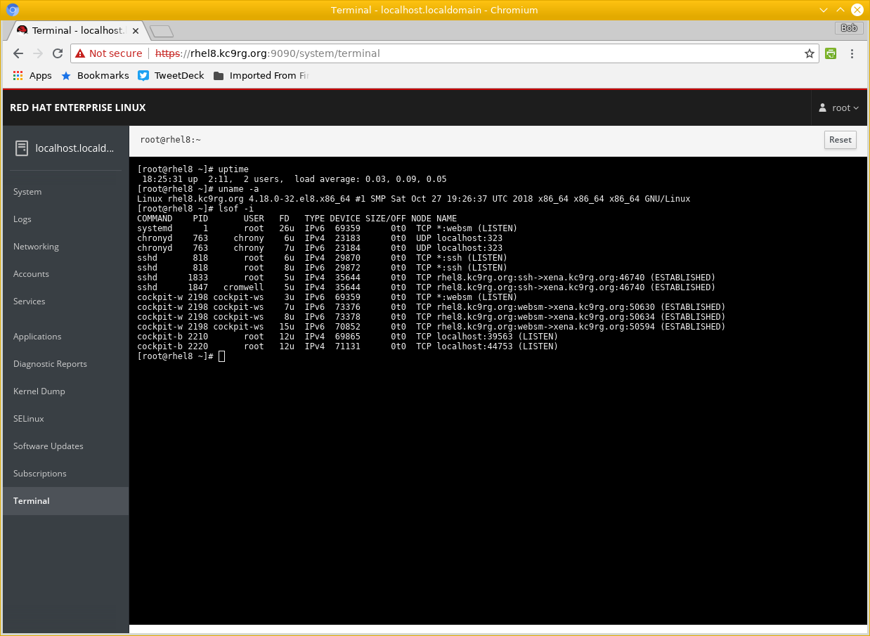 Cockpit web console on RHEL 8, web-based terminal interface.