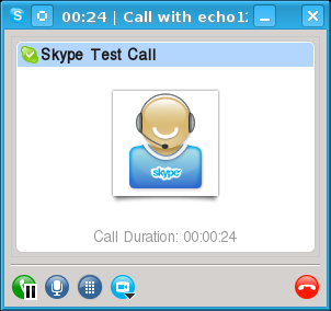 Skype test call window during the audio test.