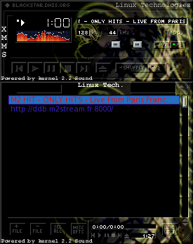 XMMS audio player running on Linux or BSD Unix.