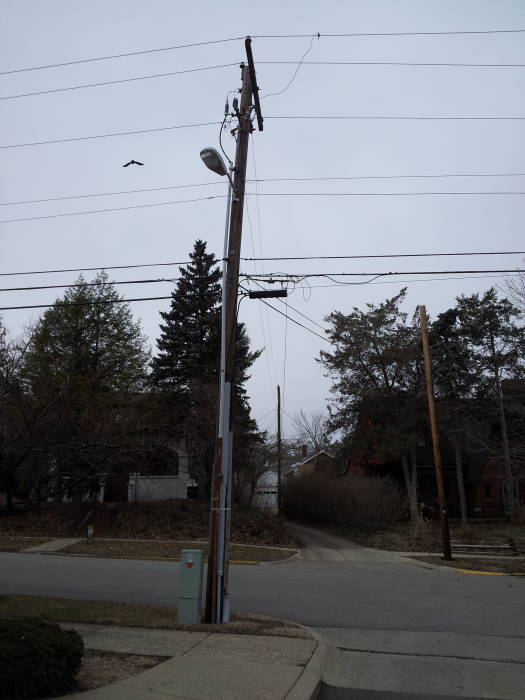 Electrical power, cable, DSL and voice telco lines run down a utility pole.