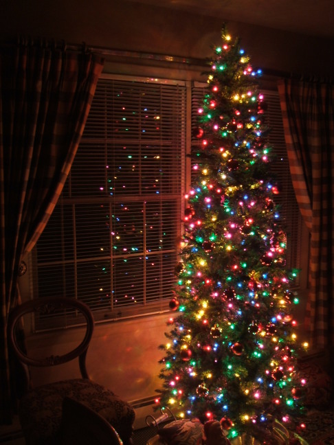 Lighted Christmas tree.