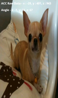 The secret chihuahua, the Image Test menu screen on a Samsung Galaxy smart phone.