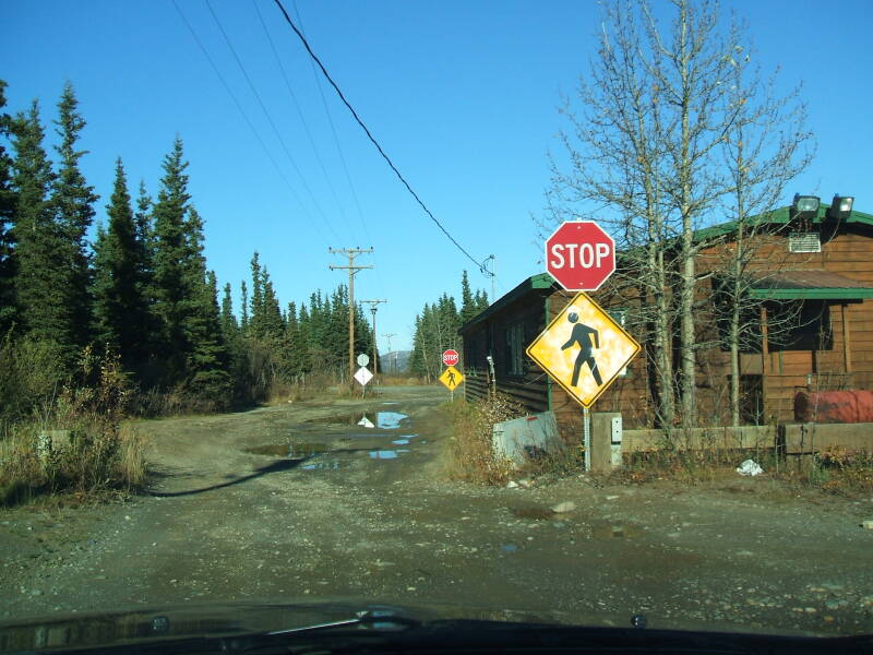 An overabundance of road signs in a small village north of Denali.